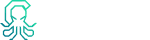 Cirrina Logo